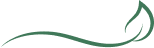 Vector Image